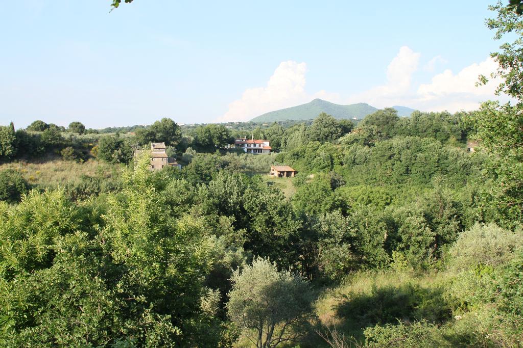 Villa Casale Aurora Viterbo Camera foto